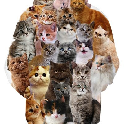 Unisex Adults 3D Printed Fashion Hoodies for Men Women Pullover Novelty Sweatshirts with Big Pockets