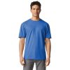 Adult Softstyle Cotton T-Shirt, Style G64000, Multipack