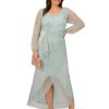 Women's Metallic Mesh Gown